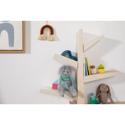 Spruce Tree Bookcase