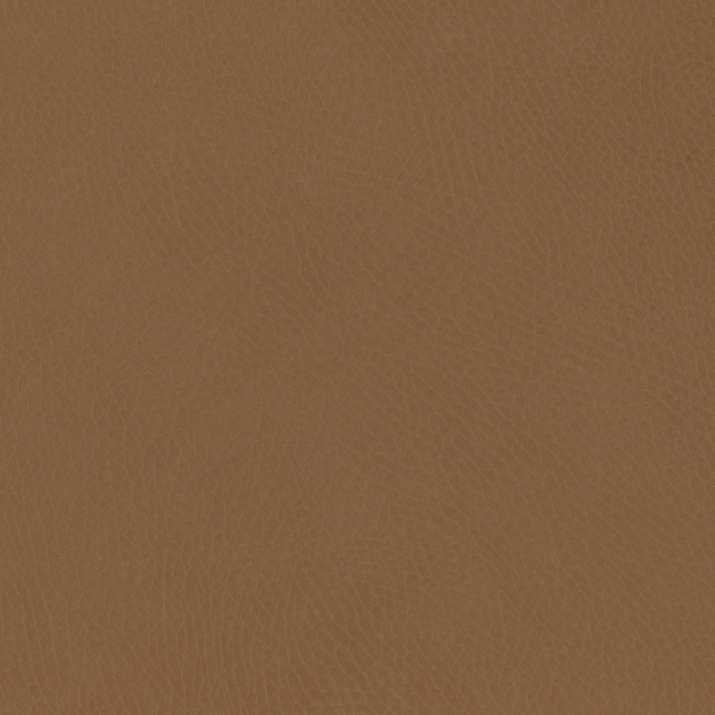 M26834GCLB,babyletto x GATHRE Capsule Bassinet in Camel
