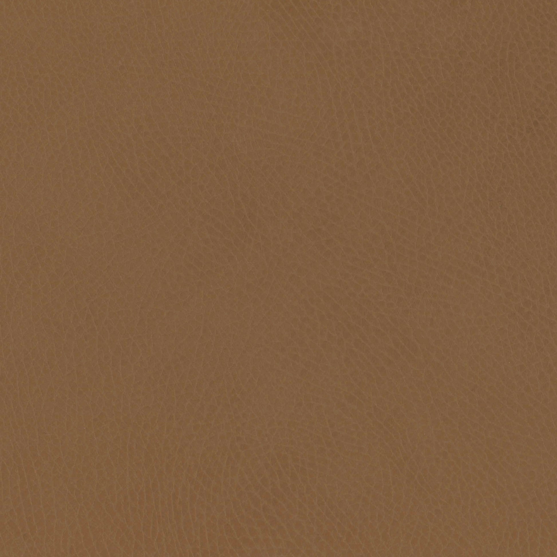 M26834GCLB,babyletto x GATHRE Capsule Bassinet in Camel